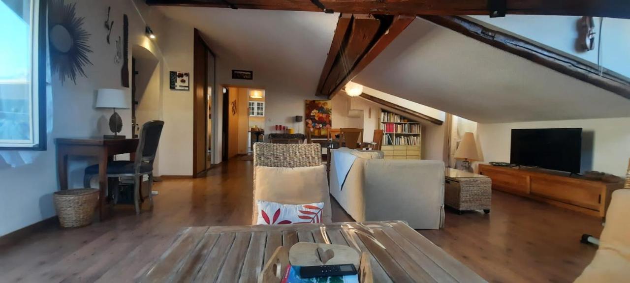 Apartment Cosy And Calm In Heart With Free And Large Parking Q-park Chavant Grenoble